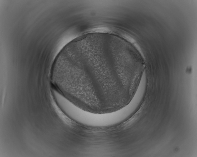 X0000091891426200710031753