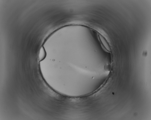X0000091891428200710031753