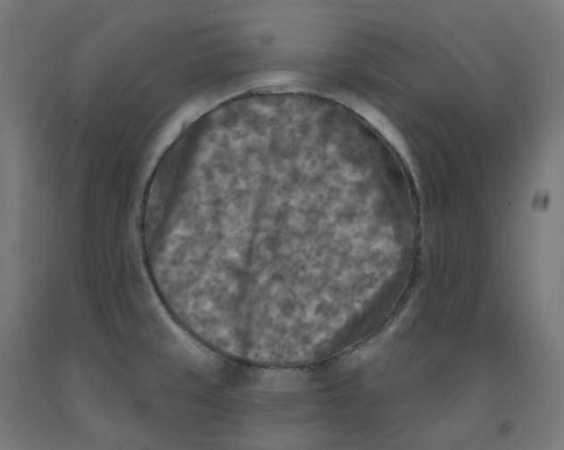 X0000091891429200710031753
