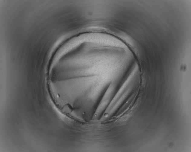 X0000091891430200710031753