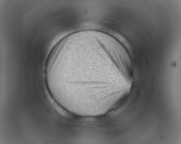 X0000091891431200710031753