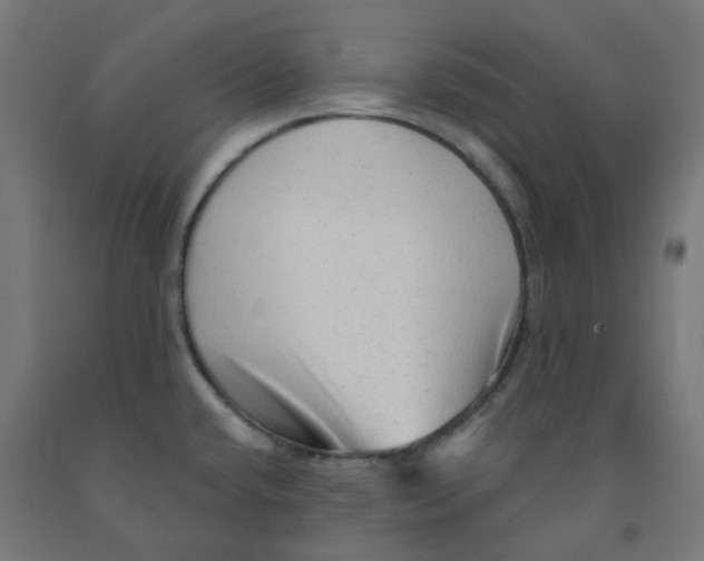 X0000091891432200710031753