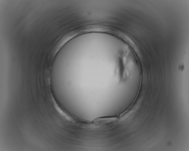 X0000091891433200710031753