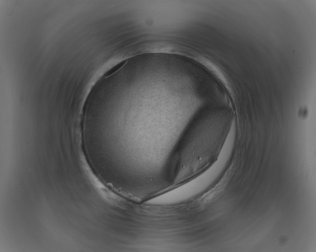 X0000091891434200710031753