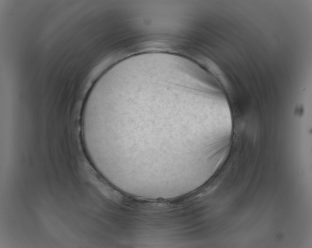 X0000091891435200710031753