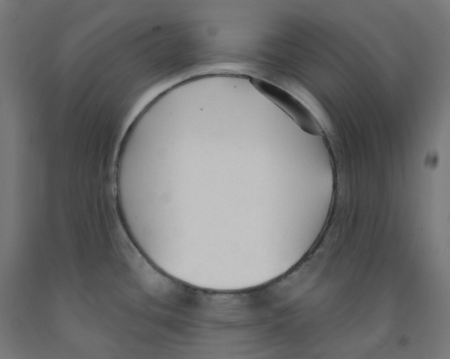 X0000091891436200710031753
