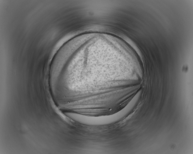 X0000091891437200710031753