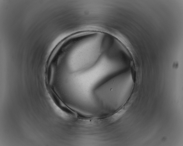 X0000091891438200710031753