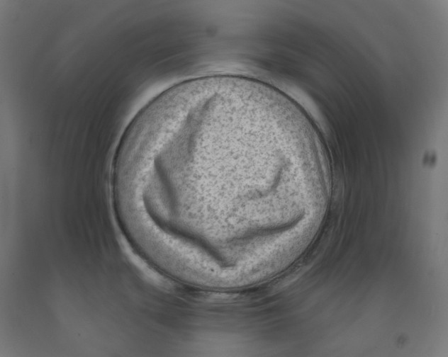 X0000091891439200710031753