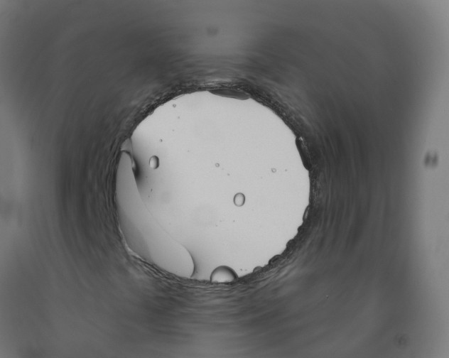 X0000091891441200710031752