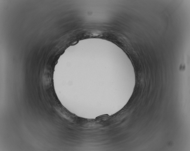 X0000091891442200710031752