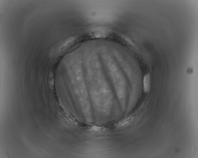 X0000091891443200710031752