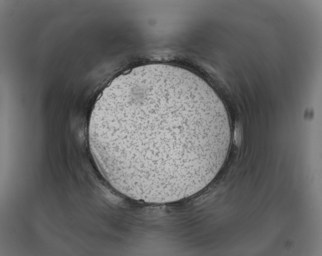 X0000091891444200710031752