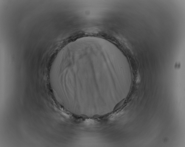 X0000091891445200710031752