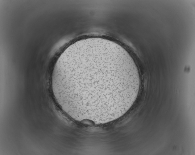 X0000091891448200710031752