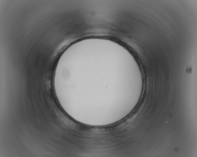 X0000091891451200710031752