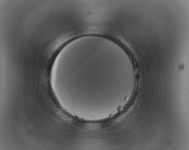 X0000091891453200710031752