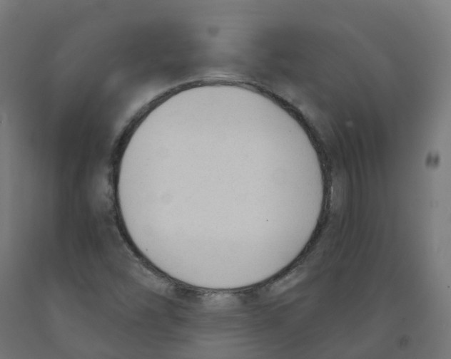 X0000091891454200710031752