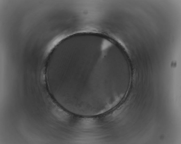 X0000091891455200710031752