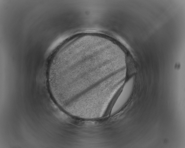 X0000091891456200710031752
