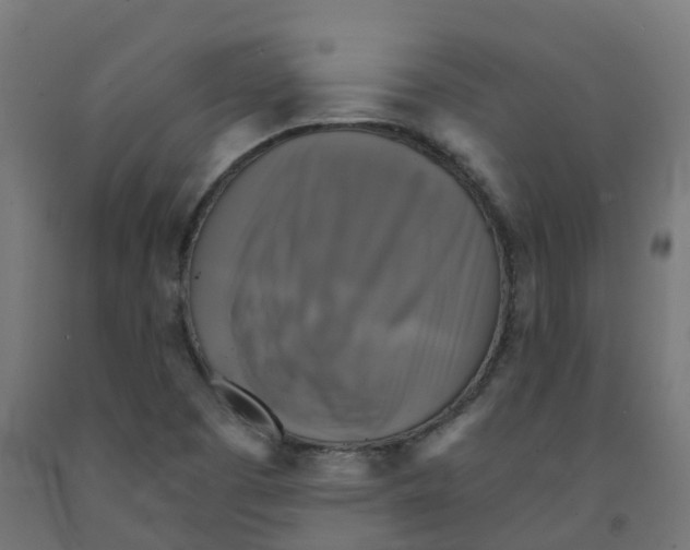X0000091891457200710031752