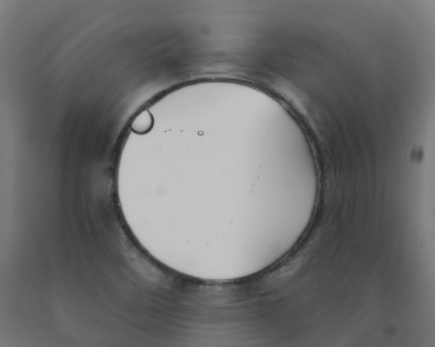 X0000091891458200710031752