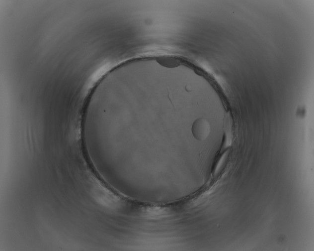 X0000091891459200710031752