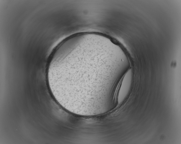 X0000091891460200710031752