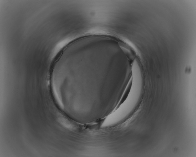X0000091891461200710031752