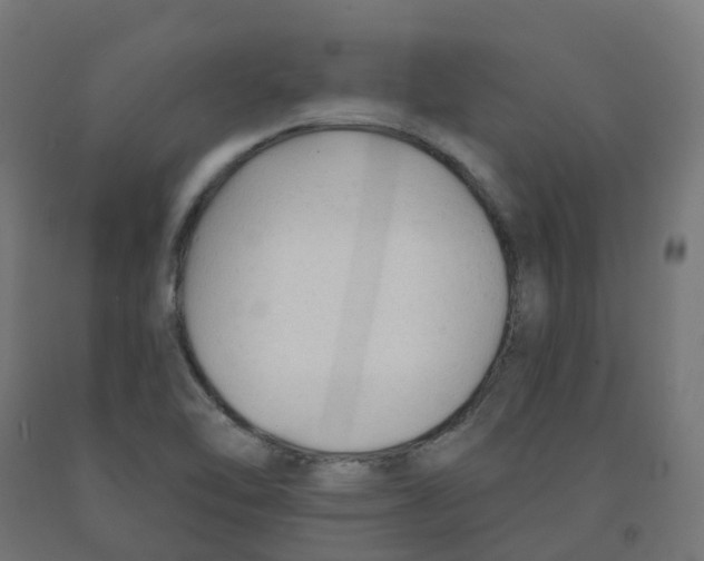 X0000091891462200710031752