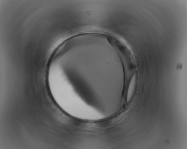 X0000091891463200710031752