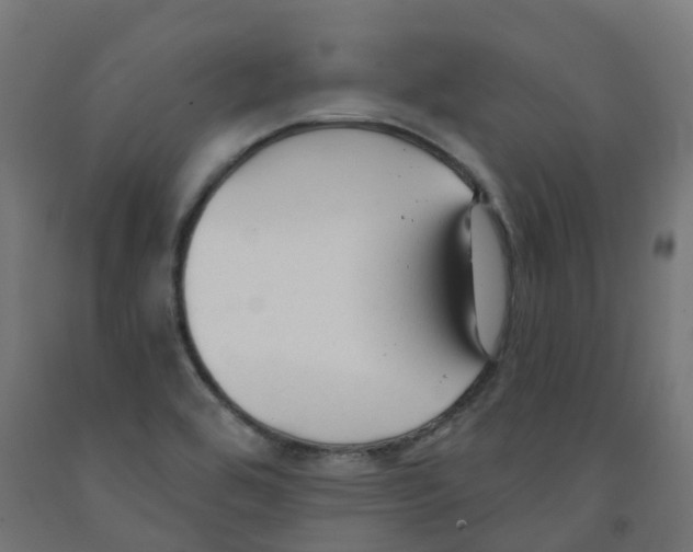 X0000091891464200710031752