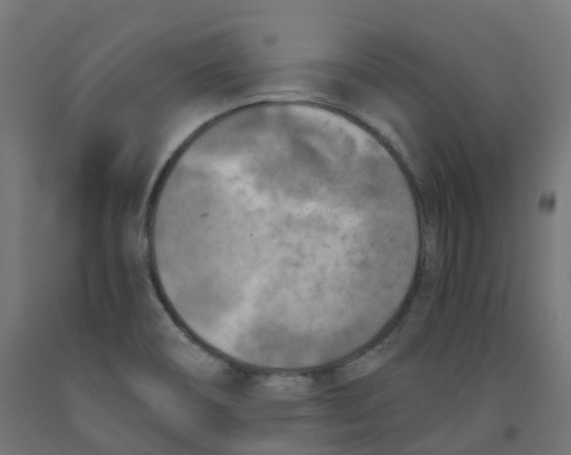 X0000091891466200710031752