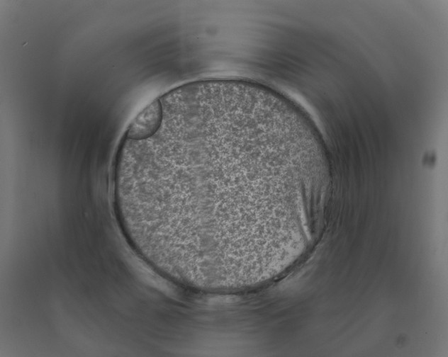 X0000091891467200710031752