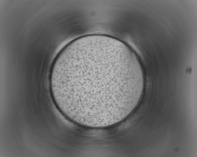 X0000091891468200710031752