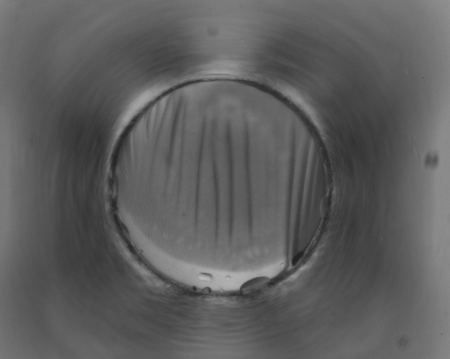 X0000091891469200710031752