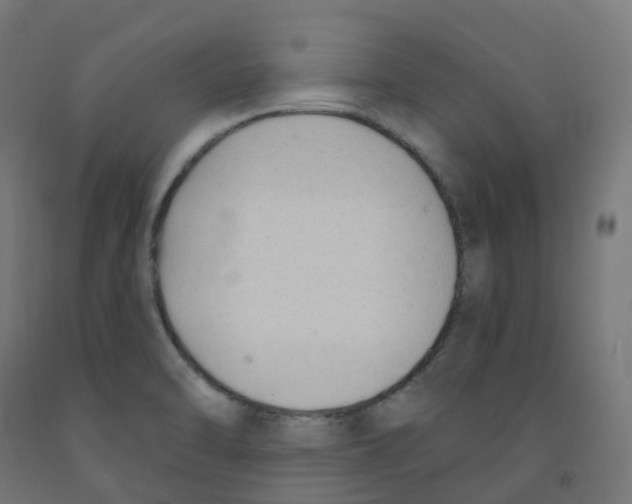 X0000091891470200710031752