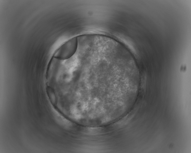X0000091891471200710031752