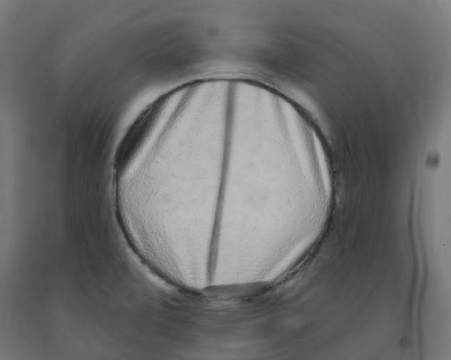 X0000091891472200710031752