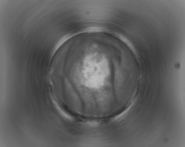X0000091891473200710031752