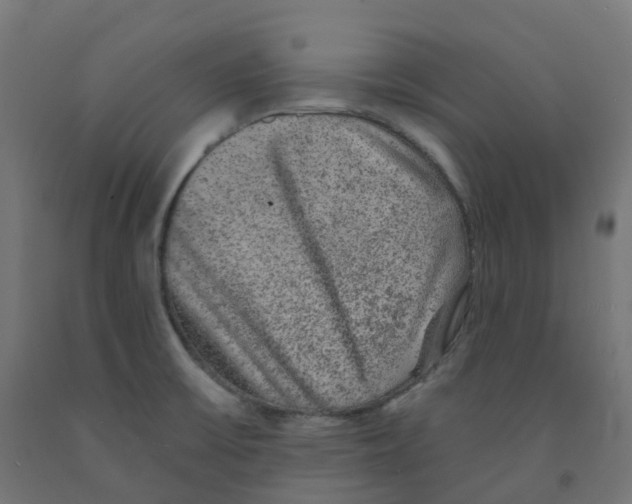 X0000091891475200710031752