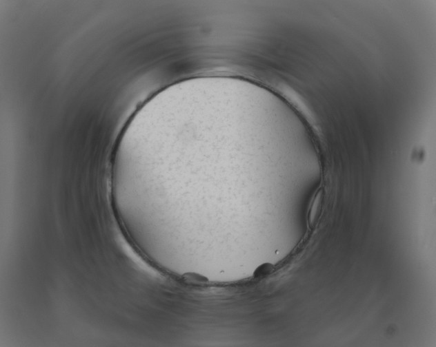 X0000091891476200710031752