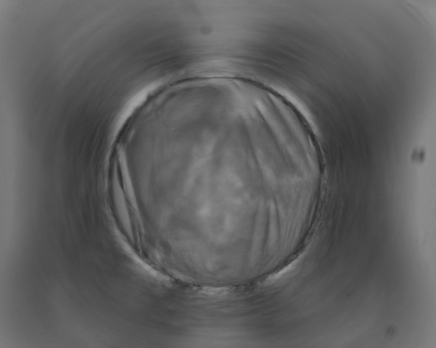 X0000091891477200710031752
