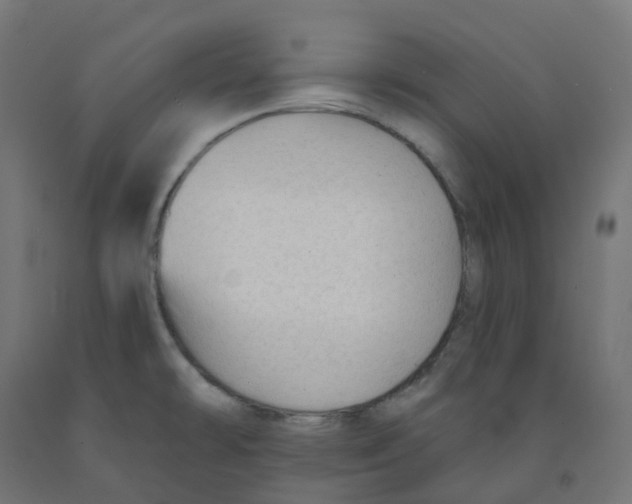 X0000091891478200710031752