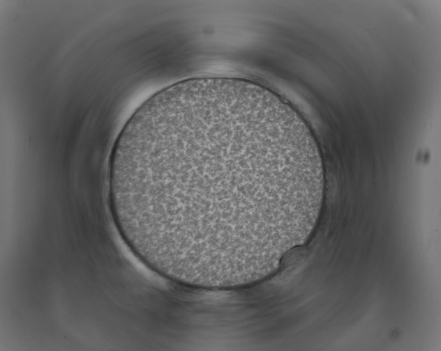 X0000091891479200710031752