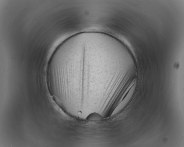 X0000091891480200710031752