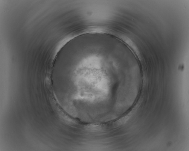 X0000091891481200710031752