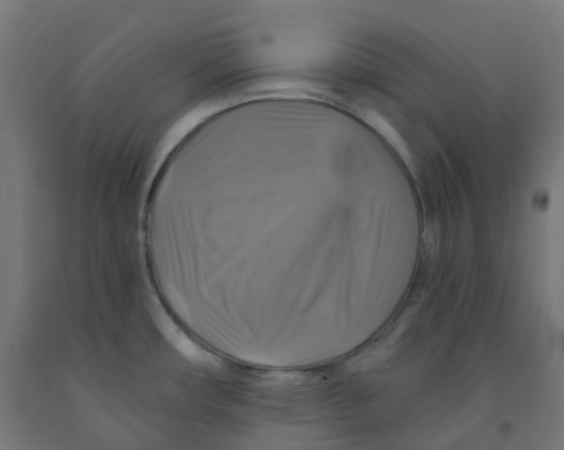 X0000091891482200710031752