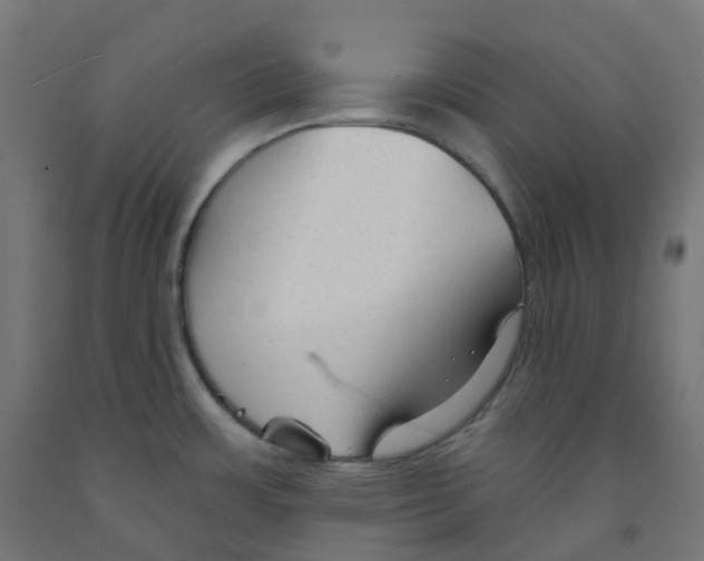 X0000091891483200710031752