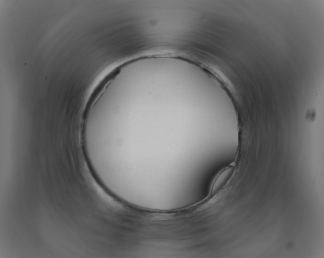 X0000091891484200710031752